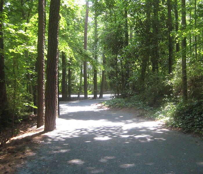 Wooded path in Roswell Georgia