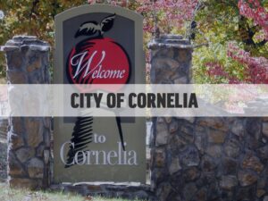 Storage Containers in Cornelia