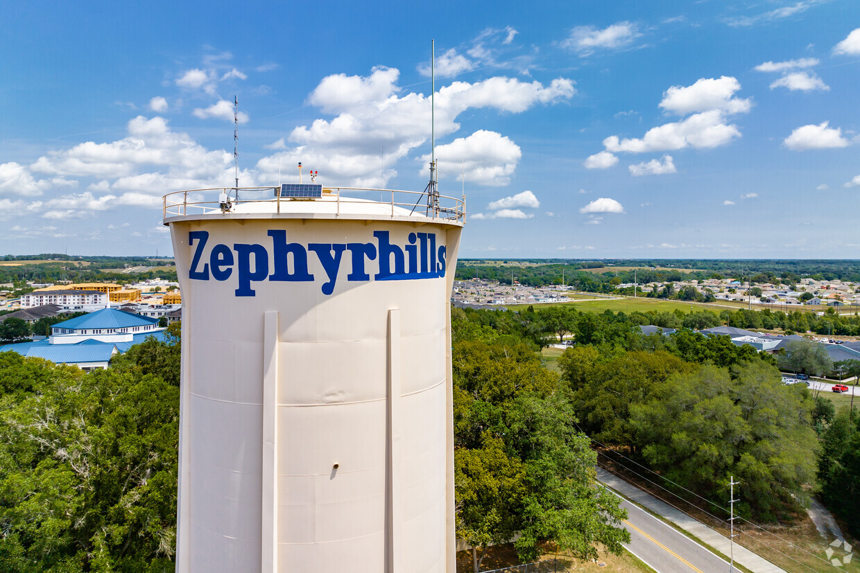 Zephyrhills Moving Services​