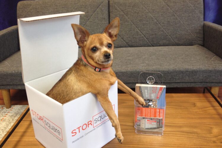 Containers for Homes and Businesses in Sequoyah Hills