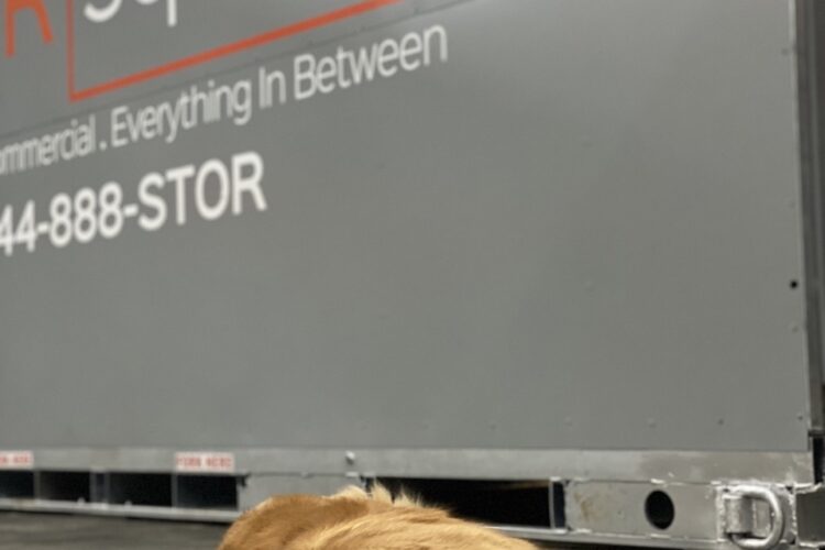 STORsquare's Portable Storage Containers