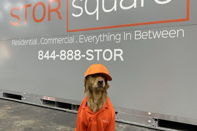 Options for Golf Competition