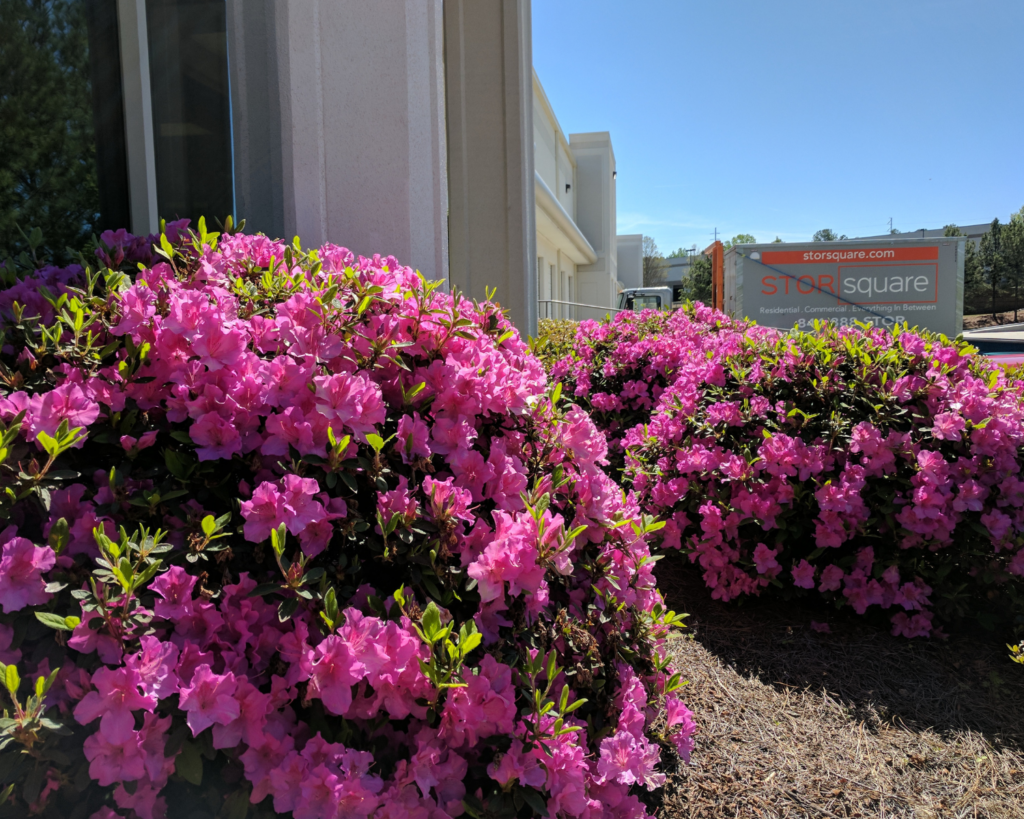 Storage Rental Containers in Davidson
