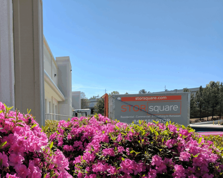 Storage Rental Containers in Doctor Phillips