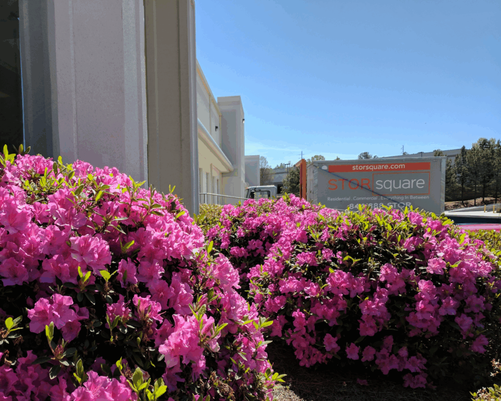 Albemarle Pods moving cost