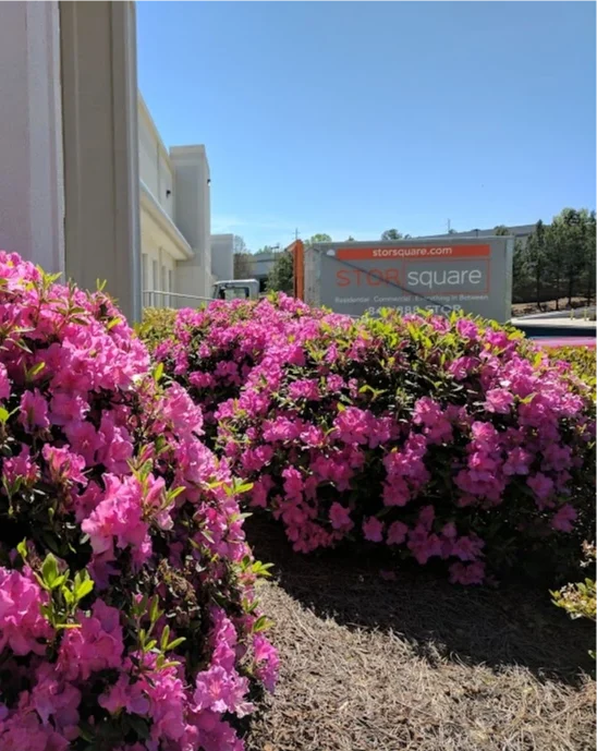 STORsquare commercial storage container visible behind pink flowering shrubs at a business property in Braselton, GA.