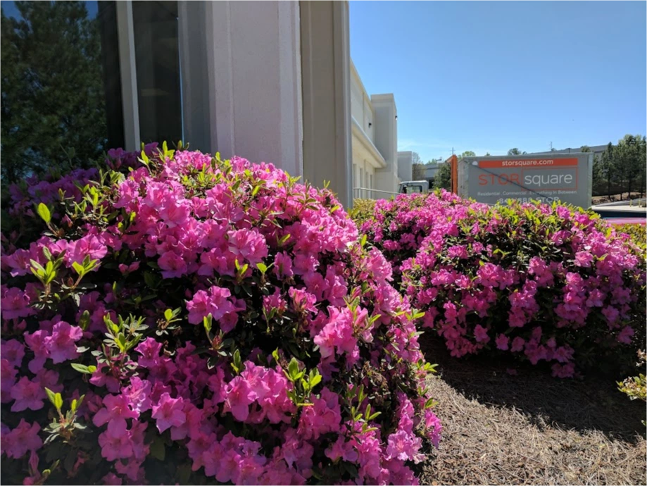 STORsquare commercial storage container beside landscaped flowering shrubs for customers in West Hills, TN.